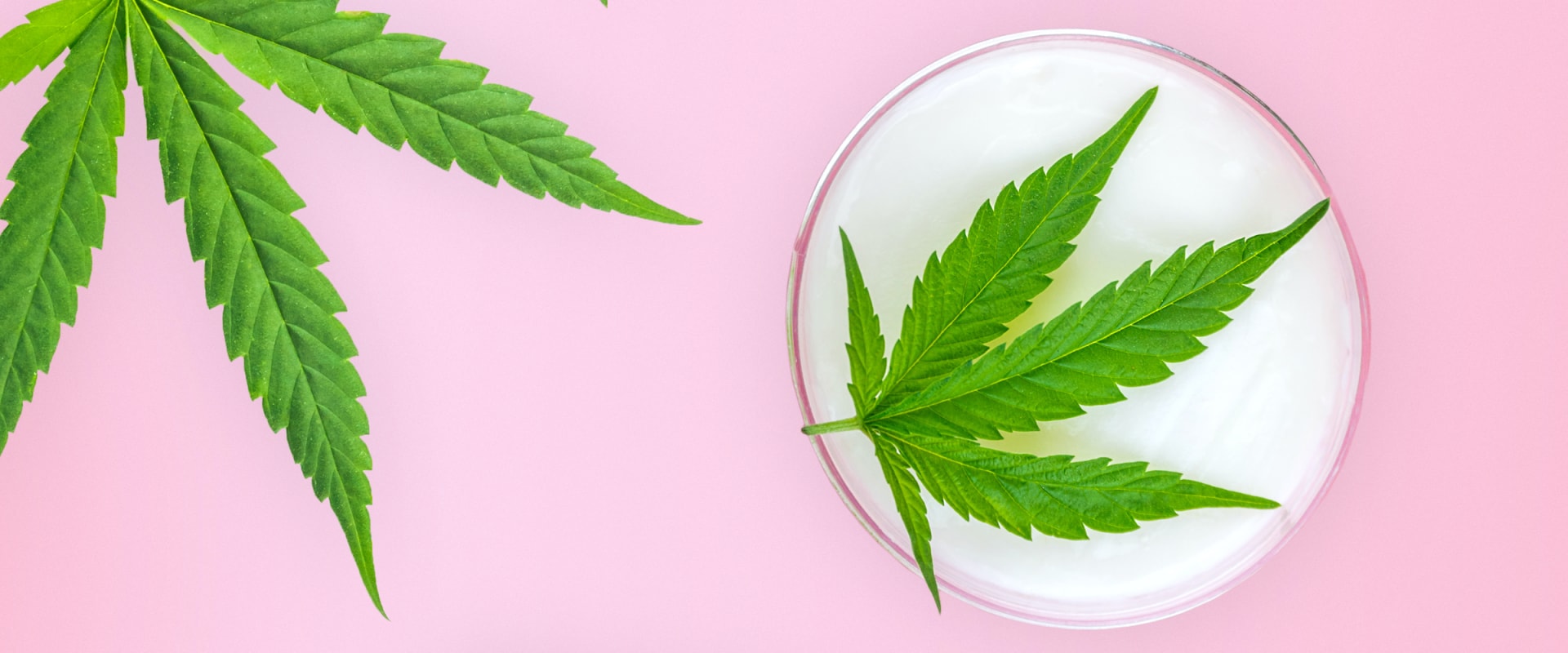 Patches and Transdermal Gels: Natural Pain Relief with Cannabis
