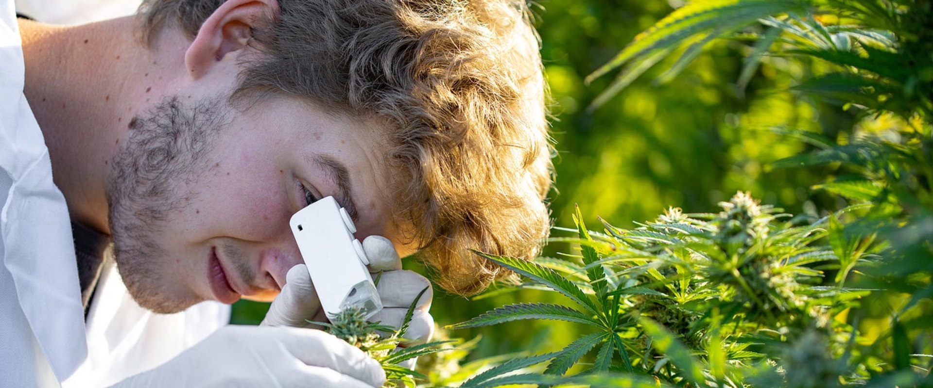 Sharing Personal Growth and Self-Discovery through Cannabis