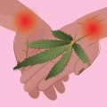 Can cannabis be used as a pain reliever?