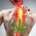Creating a Sense of Belonging and Acceptance: How Medical Cannabis Can Help with Pain Relief