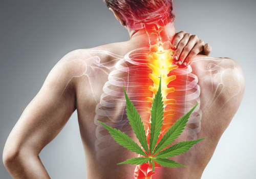 Creating a Sense of Belonging and Acceptance: How Medical Cannabis Can Help with Pain Relief